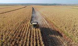 Türkiye genelindeki tarım sayımında sona yaklaşıldı