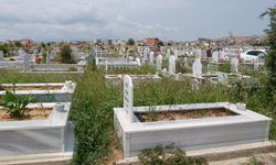 Ölüm verileri açıklandı! Van ilk üçte yer alıyor
