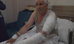 Van'da ot biçen vatandaş kurdun saldırısına uğradı