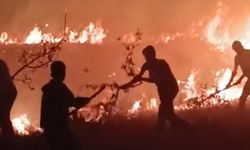 Hakkari-Van Sınırında Korkutan Yangın