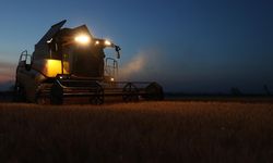 Trakya'da buğday hasadı gece yapılıyor