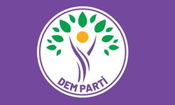 DEM Parti'den PKK'nın silahla bırakma adımı ile ilgili açıklama
