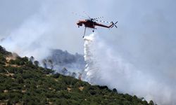 Orman yangınları konusunda "kritik zaman" uyarısı