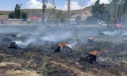 Hakkari'de yaklaşık bin 500 bağ ot kül oldu