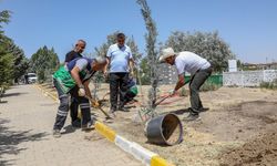 Van'da mezarlıklarda yeşillendirme ve peyzaj çalışması