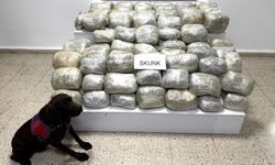 Van'da 70 kilo skunk madde ele geçirildi