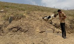 Mezar başında vefa nöbeti