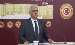 DEM Parti'li Gergerlioğlu, PKK'nın silah bırakacağı tarihi açıkladı