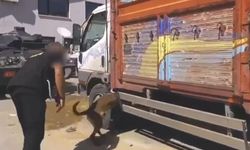Van'da kamyonetteki yün çuvallarının içinden 122 kilo yasaklı madde çıktı!
