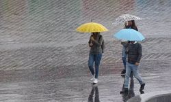 Van’ın bazı ilçelerinde yağış bekleniyor