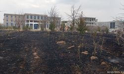 Van YYÜ kampüsünde arazi yangını