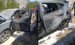 Van'da park halindeki otomobil küle döndü