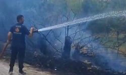 Gevaş’ta bahçe yangını korkuttu