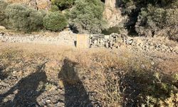 Hakkari'de kamyon uçuruma yuvarlandı: 1 ölü