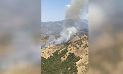 Aydın'da ziraat alanında çıkan yangına müdahale ediliyor