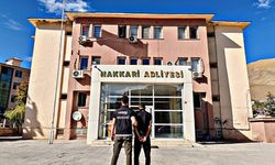 Hakkâri'de aranan 15 şahıs yakalandı