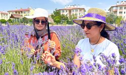 Van YYÜ’de 10 yılda 300 tür bitki yetiştirildi