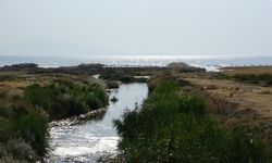 Uzmanlardan Van Gölü için korkutan uyarı!