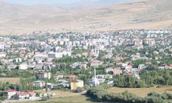 Van’ın hava kalitesi ‘iyi’ çıktı! İşte endeks değeri…