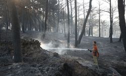 Çanakkale'deki yangınlar büyük ölçüde kontrol altına alındı