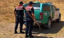 Van'da yaban hayatına minik su havuzları