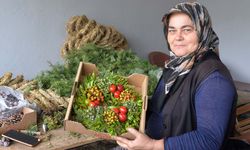 Köylü kadınlardan Avrupa'ya 1 milyon Noel çelengi