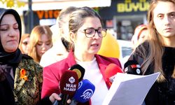 Van’da AK Partili kadınlardan ortak açıklama
