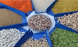 Tarım ihracatında 10 milyar dolarlık rekor