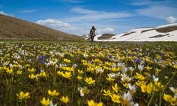 Türkiye'nin bitki bazlı gıdalardaki potansiyeli artıyor