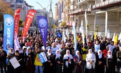 Van’da bölge mitingi düzenlendi