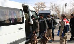 Van'da 20 düzensiz göçmen yakalandı