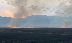 Yüksekova'da yangına havadan müdahale devam ediyor