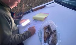 Erciş'te kaçak avcılıkla mücadele çalışması