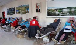 Erciş'te kan bağışı kampanyası başlatıldı