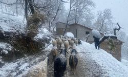 Van'ın Bahçesaray ilçesinde kar etkili oldu