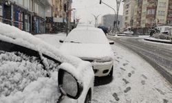 Hakkari'de mevsimin ilk karı yağdı