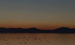 Van Gölü üzerinde kuş sürüsünün görsel şöleni