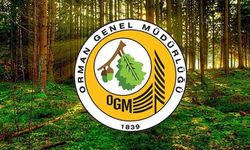 Orman Genel Müdürlüğüne 496 sözleşmeli personel alınacak
