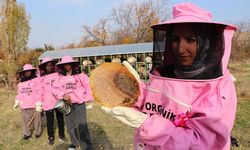 Van'da pembe maskeli arıcı kadınlar, bal hasadına başladı