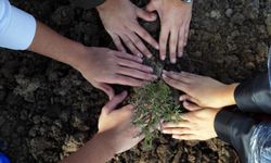 Bakan Yumaklı duyurdu: Çifte rekor kırıldı