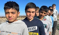 Van Gölü'nde mevsimsel saç değişimi: Yazın sarı, kışın koyu ton