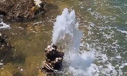 Van Gölü'nde şaşırtan görüntü: Tatlı su fışkırdı