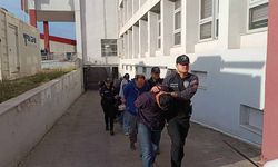 Sazan Sarmalı şebekesi çökertildi