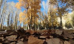 Van'ın sonbahar güzelliği