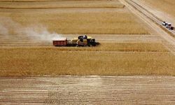 Çiftçilere 1,5 milyar liralık tarımsal destekleme ödemesi yapıldı
