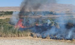 Van Gölü Havzası’nda ekosistem alarmı