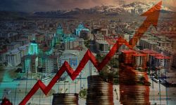 Van’ın Ekonomik Faaliyetleri ve Bilgileri