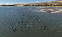 Van Gölü'nün çekilmesiyle asırlık iskelenin ayakları ortaya çıktı