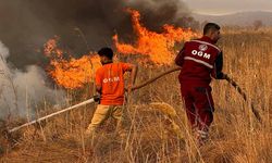 Yüksekova'daki yangın kontrol altına alınamıyor