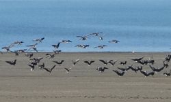 Zorlu göçün durağı Erçek Gölü